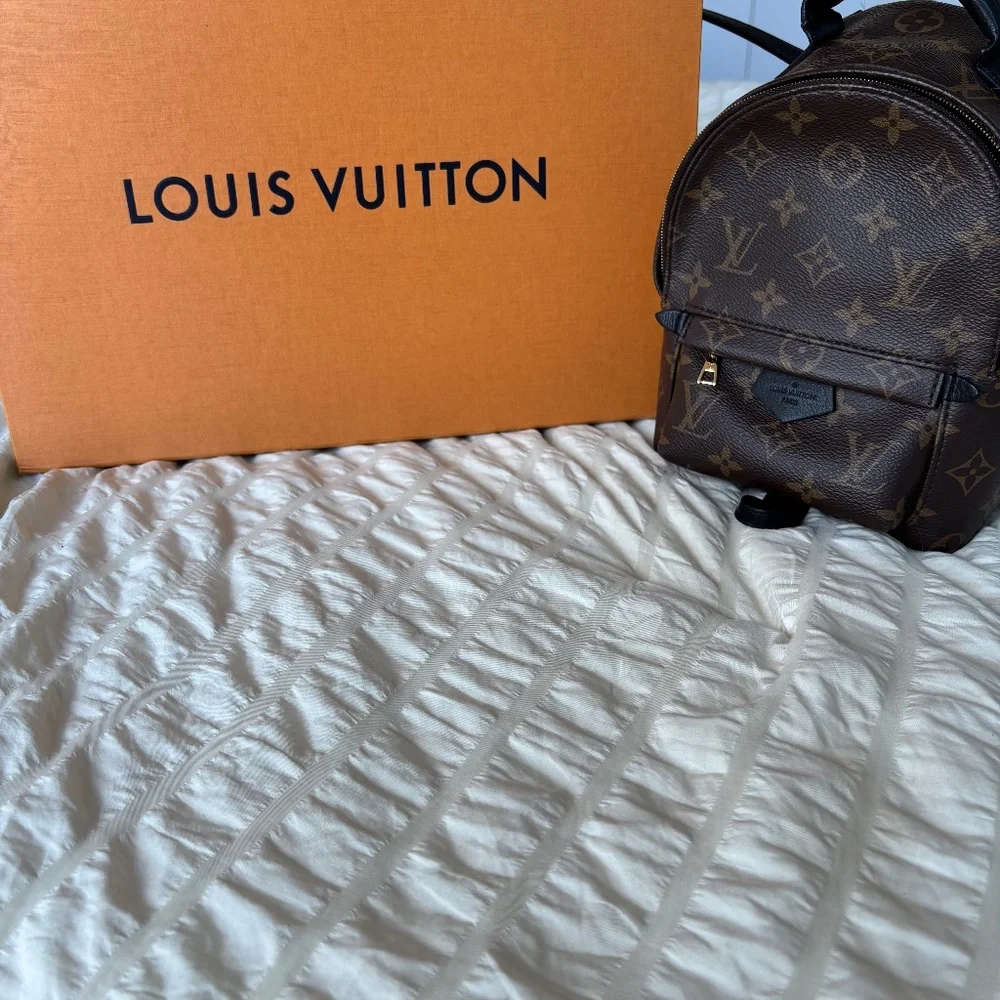 LV Palm Spring Mini - Picture 2 of 12